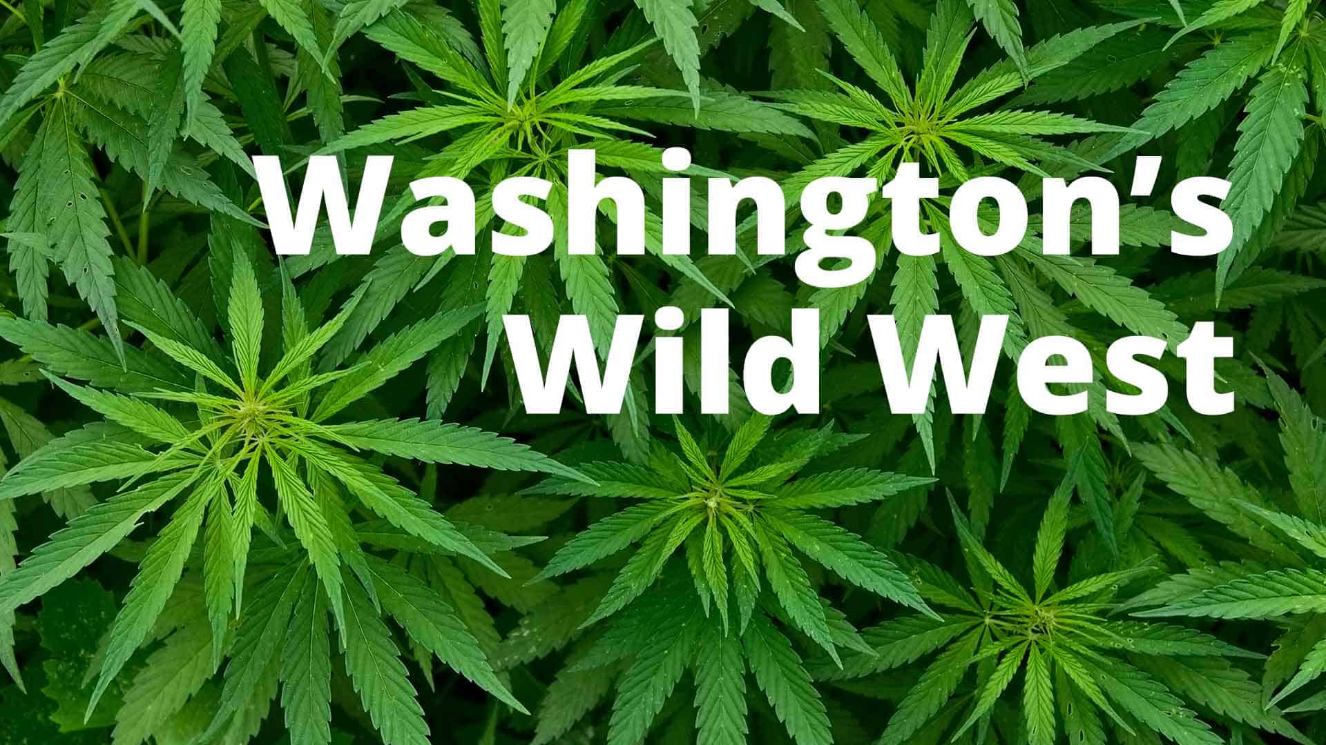 Washington's Wild West