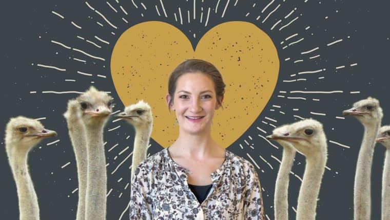 Partners, ostriches, and everything in between, Jesi will be there for you