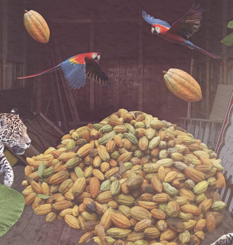 Image of an elevator with cacao beans, leopards, and exotic birds e