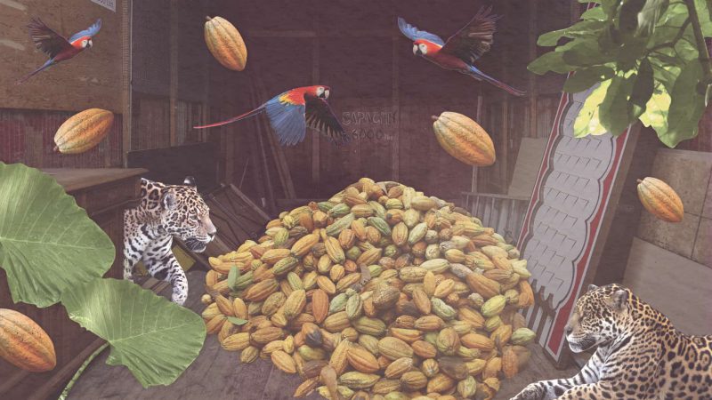 Image of an elevator with cacao beans, leopards, and exotic birds e