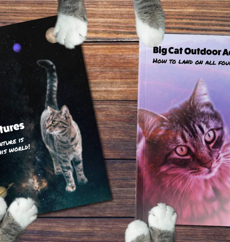 Cats off to a new kind of eBook