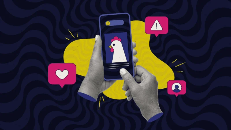 Illustration of two hands holding a smartphone displaying a cartoon chicken. Around the phone are social media icons, including a heart, an alert symbol, and a profile icon. The background features bold wavy patterns in dark blue with yellow accents.