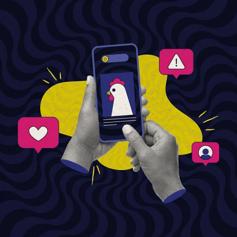 Illustration of two hands holding a smartphone displaying a cartoon chicken. Around the phone are social media icons, including a heart, an alert symbol, and a profile icon. The background features bold wavy patterns in dark blue with yellow accents.